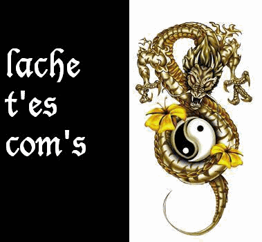 c foux ce dragon